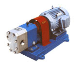 FXA_FXB不銹鋼外潤(rùn)滑齒輪泵